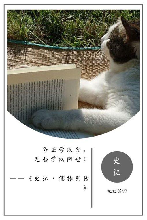 史记名句摘抄及翻译（史记名言警句及赏析） 第21张