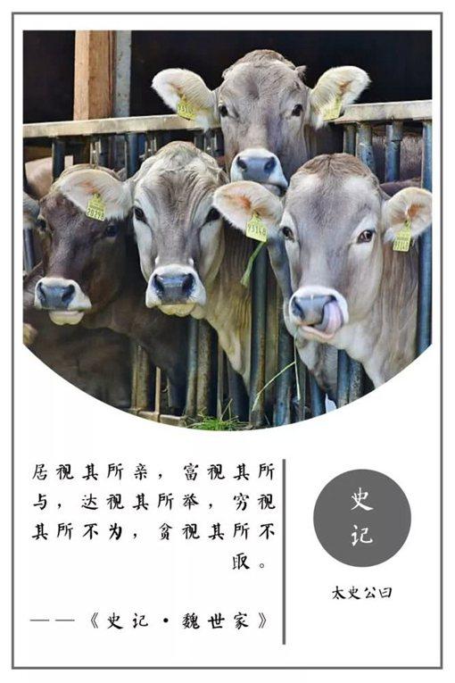史记名句摘抄及翻译（史记名言警句及赏析） 第25张