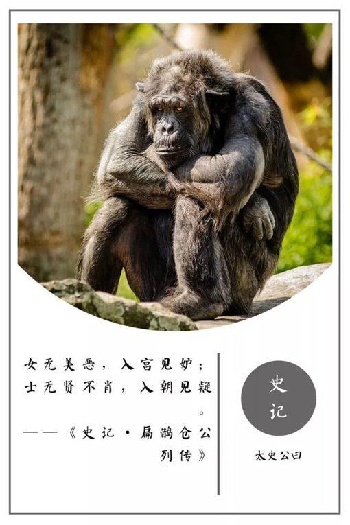 史记名句摘抄及翻译（史记名言警句及赏析） 第29张