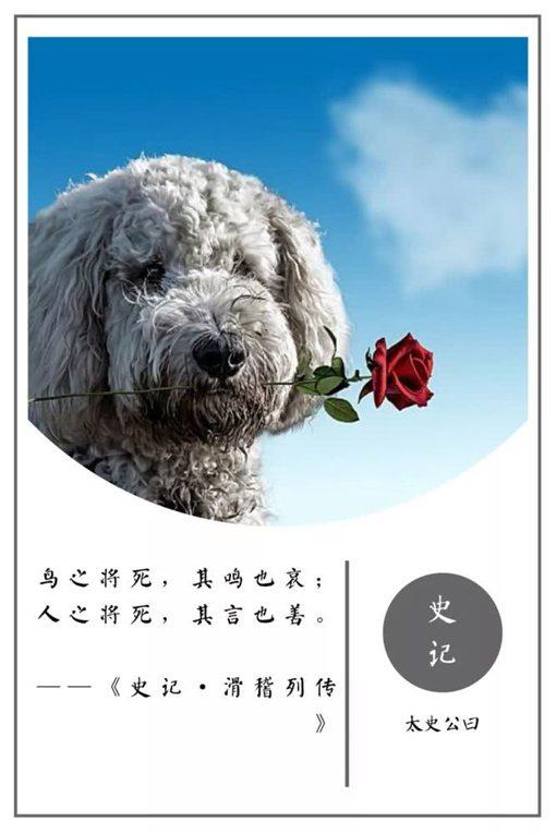 史记名句摘抄及翻译（史记名言警句及赏析） 第31张
