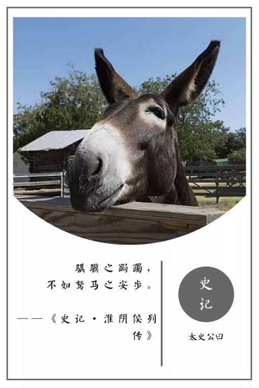 史记名句摘抄及翻译（史记名言警句及赏析） 第35张