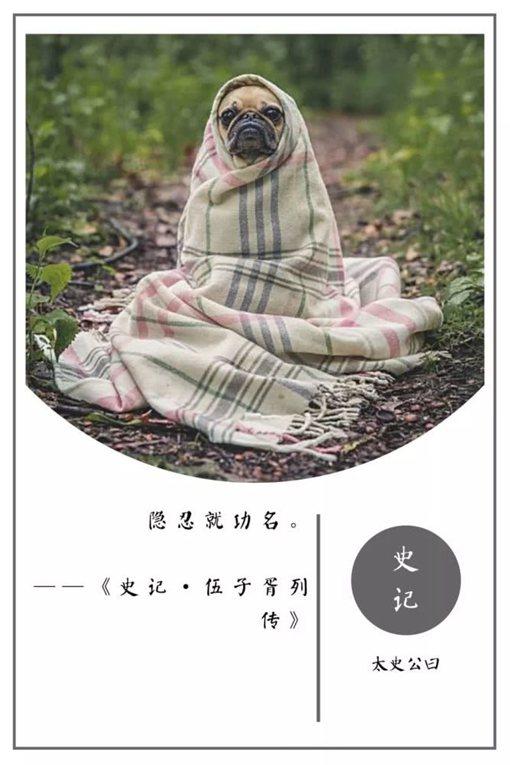 史记名句摘抄及翻译（史记名言警句及赏析） 第37张