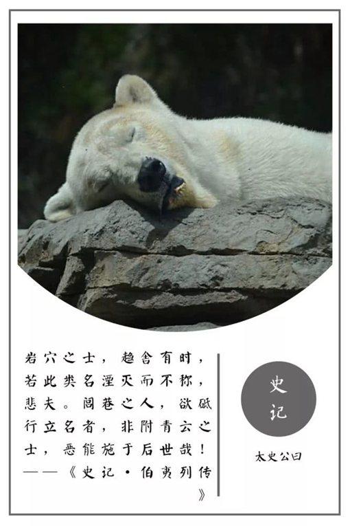 史记名句摘抄及翻译（史记名言警句及赏析） 第39张