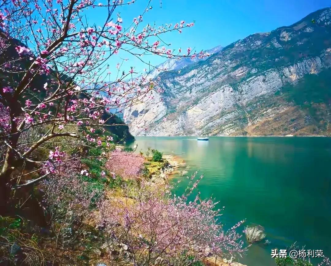 描写三峡的诗句有哪些（关于三峡的古诗整首） 第1张
