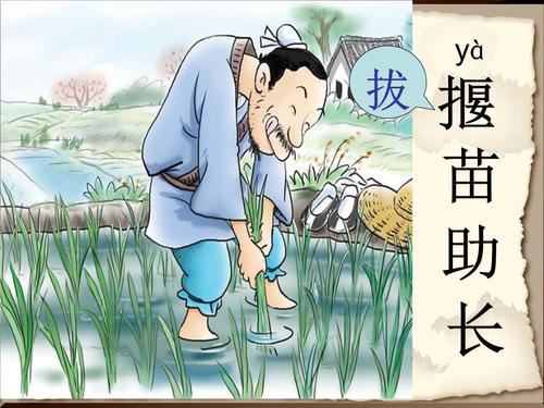 揠苗助长文言文翻译（揠苗助长文言文道理） 第11张