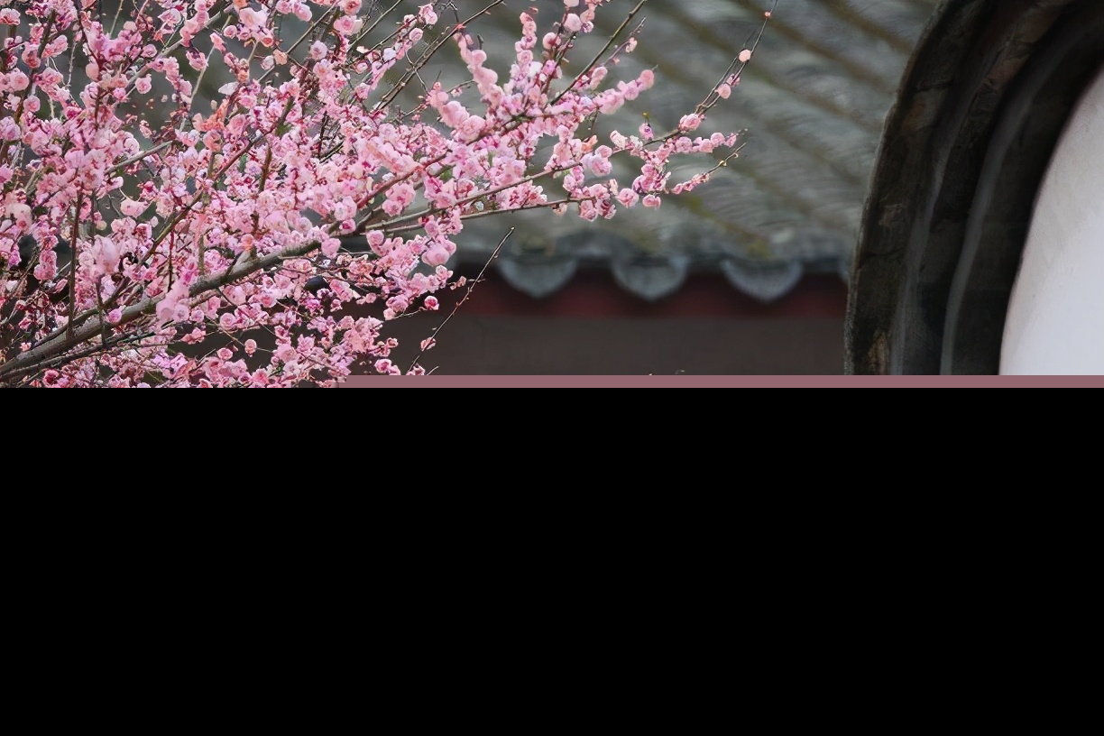 立春的诗词有哪些（关于立春的诗句古诗） 第5张
