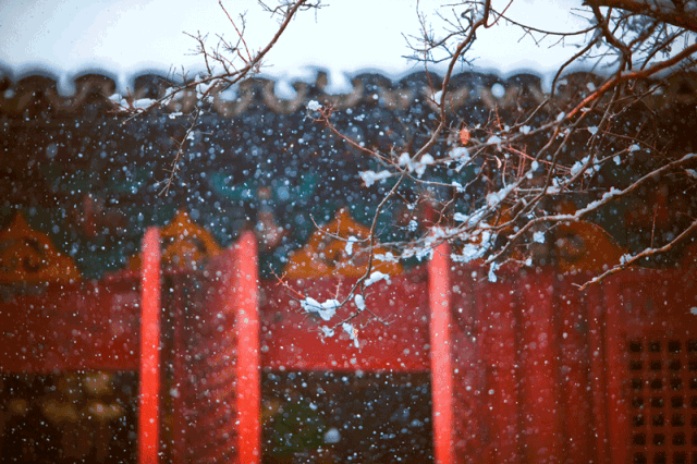 写雪的诗词鉴赏（描写雪的唯美古诗词） 第19张