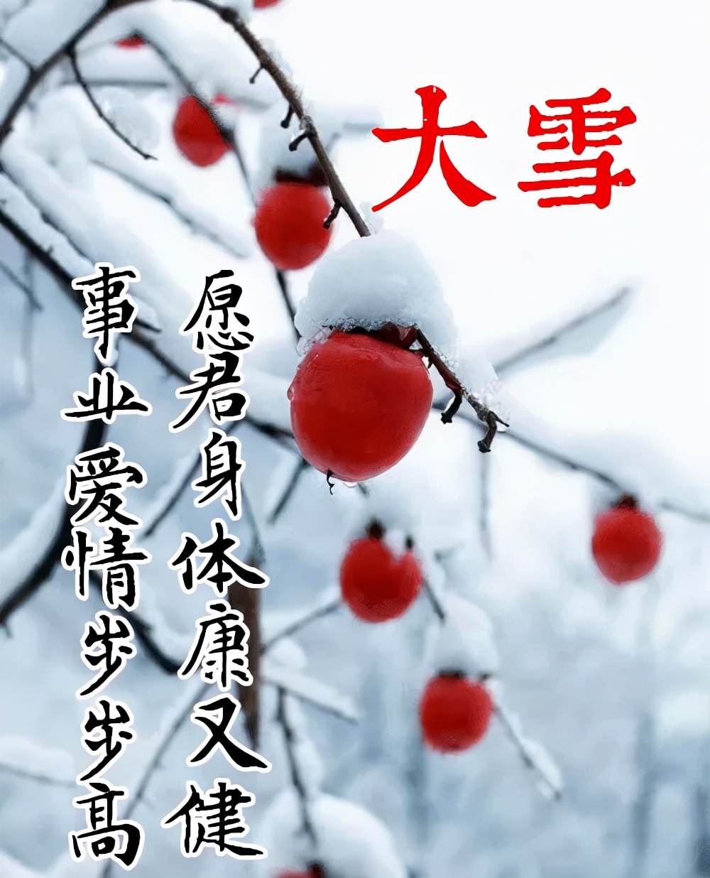 大雪节气祝福（大雪节气问候语及关心话） 第9张