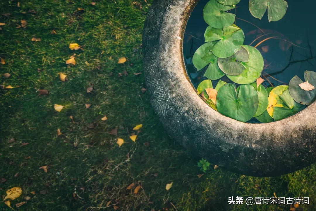 立夏诗句古诗大全（描写立夏的优美句子） 第3张