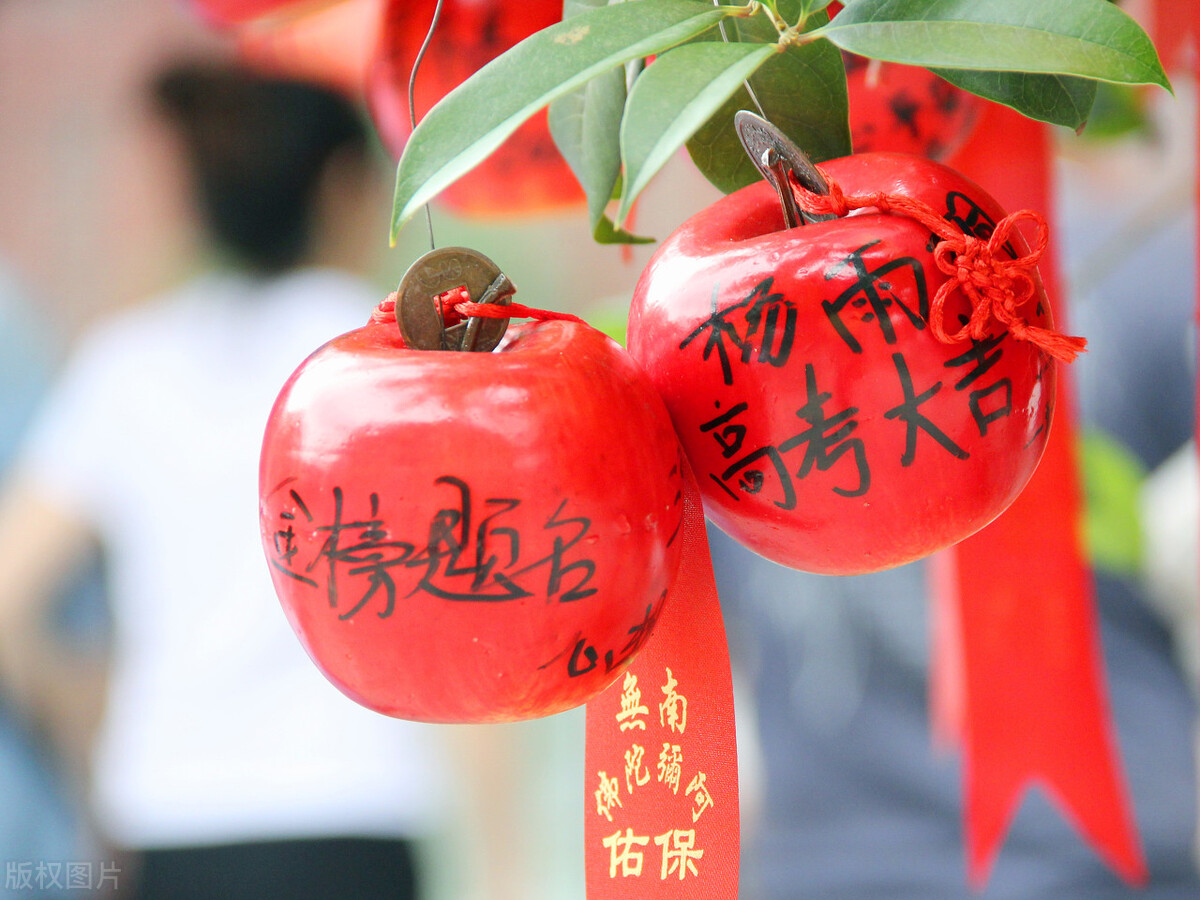 高考祝福语和鼓励的话（激励高考生的暖心句子） 第7张