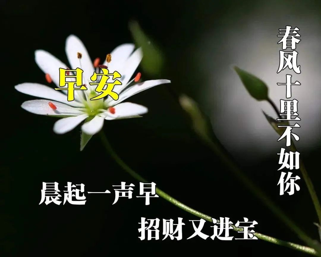 开心幸福的简短句子（幸福暖心语录经典） 第3张