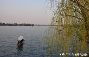 武陵春春晚赏析简短（李清照的诗词赏析） 第11张