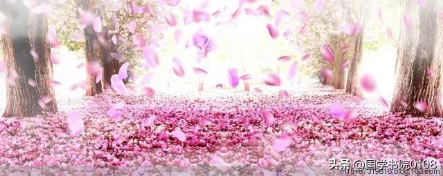 关于花的诗句古诗（与花有关的古诗赏析） 第1张