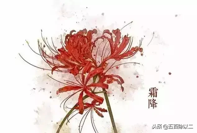 彼岸花的诗句悲伤（彼岸花的最有名的诗） 第1张