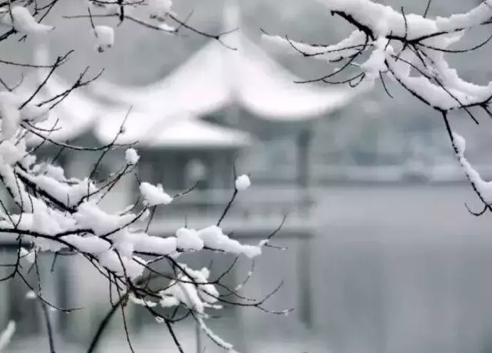 关于冬至的诗有哪些（冬至的诗句古诗简短） 第5张