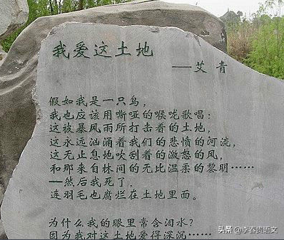 歌颂女性的诗歌艾青（艾青诗歌美学主张） 第1张