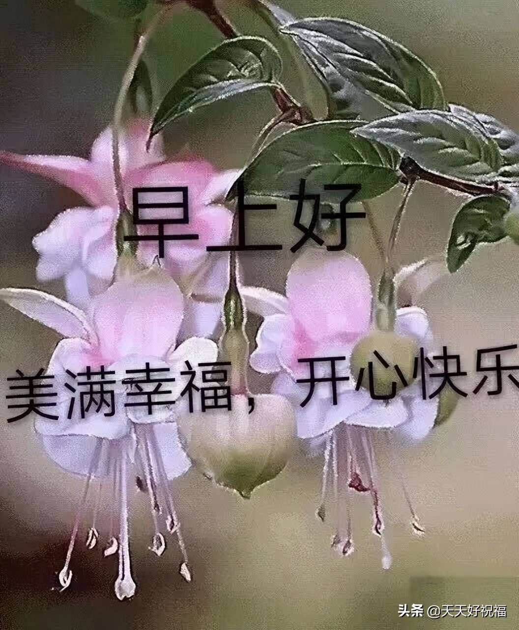 适合所有人的祝福语（最打动人心的祝福语） 第1张