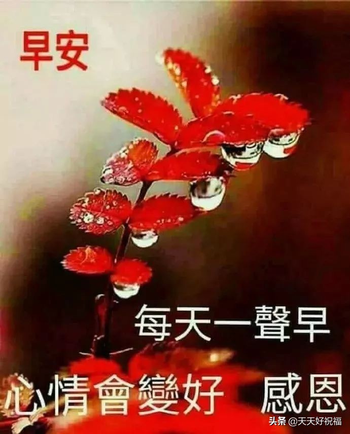 适合所有人的祝福语（最打动人心的祝福语） 第11张
