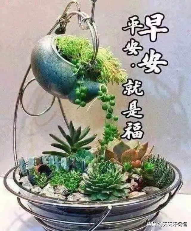 适合所有人的祝福语（最打动人心的祝福语） 第13张