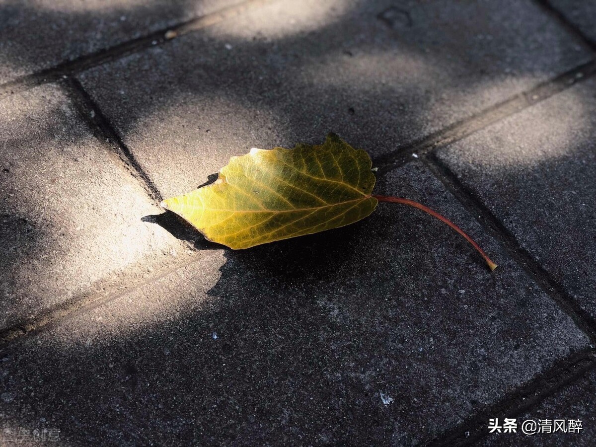 心碎的个性签名短句子（个性签名失望心酸简短） 第3张