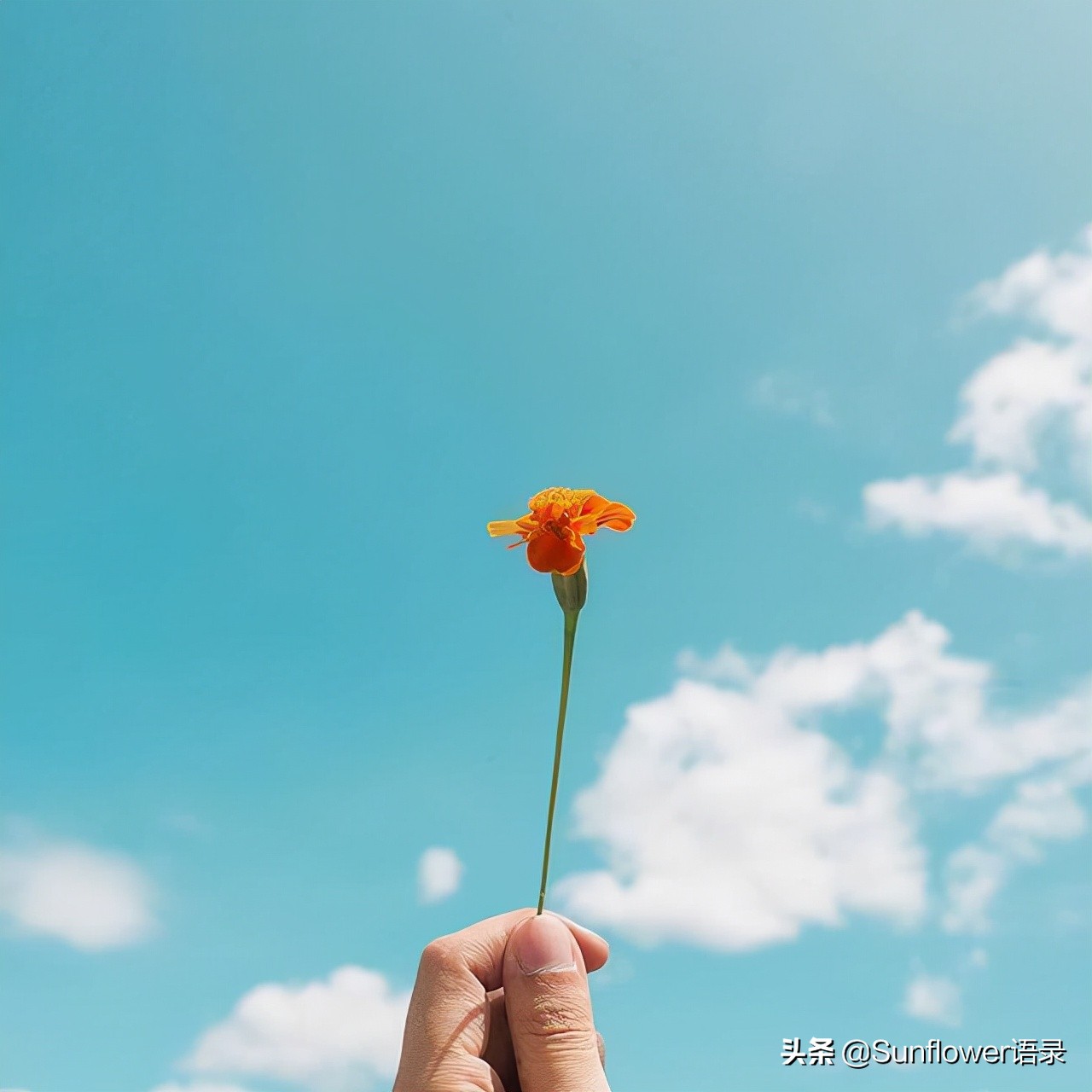 激励上进正能量句子（鼓励人的暖心话语） 第5张