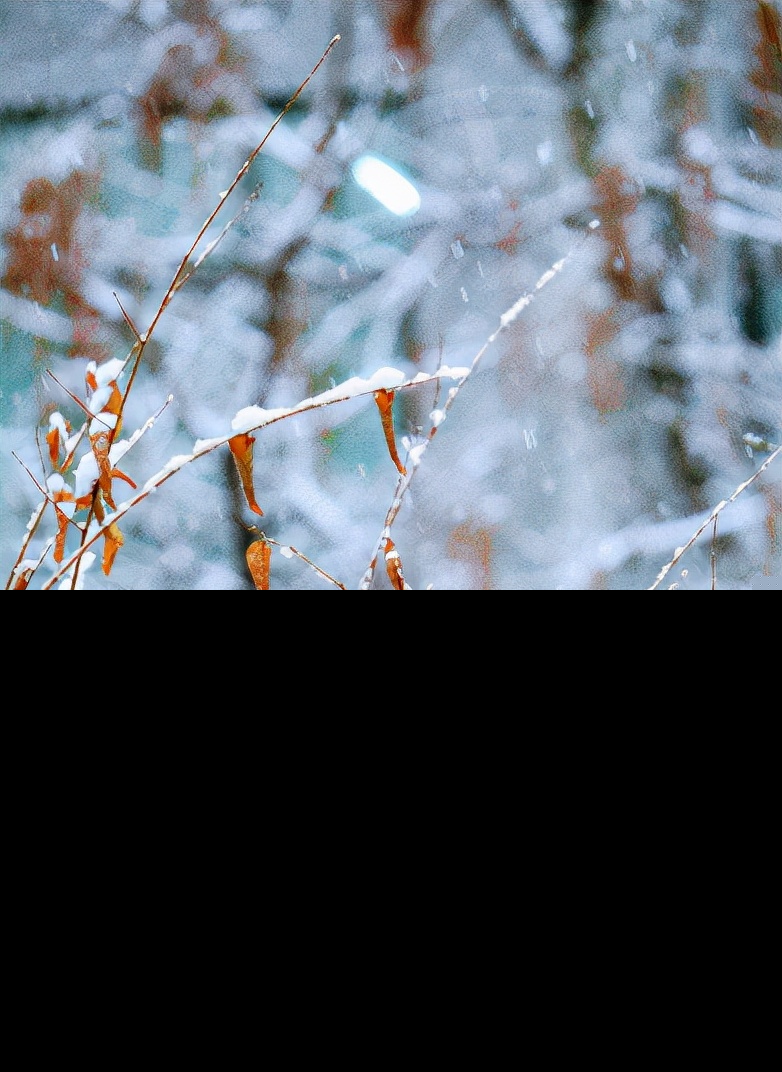 初雪的诗句唯美（风雪的浪漫唯美诗句） 第15张