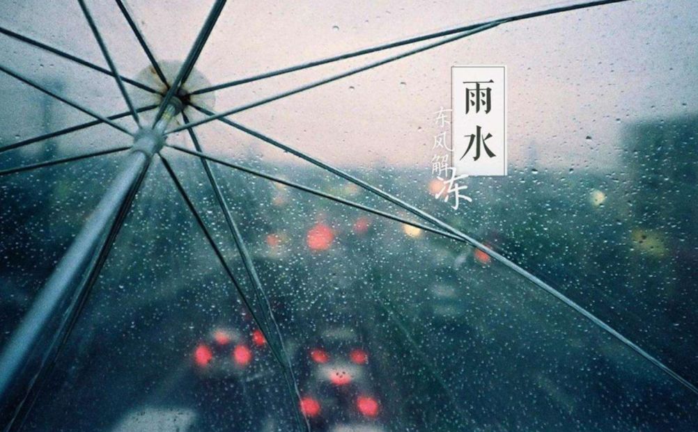 关于雨的诗句和赏析（表达对雨的喜爱与赞美的诗句） 第3张