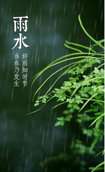 关于雨的诗句和赏析（表达对雨的喜爱与赞美的诗句） 第15张