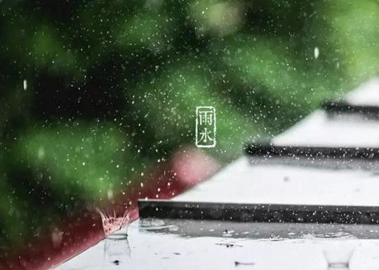 关于雨的诗句和赏析（表达对雨的喜爱与赞美的诗句） 第39张
