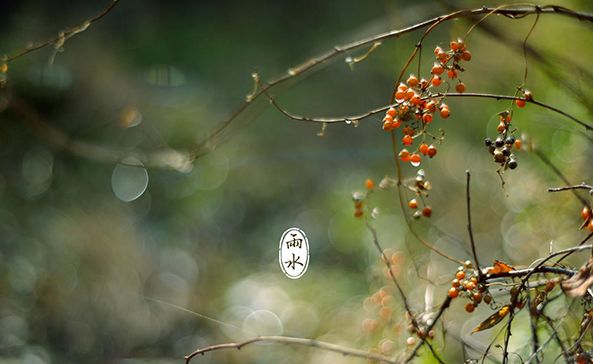 关于雨的诗句和赏析（表达对雨的喜爱与赞美的诗句） 第51张