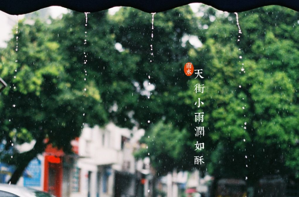 关于雨的诗句和赏析（表达对雨的喜爱与赞美的诗句） 第63张