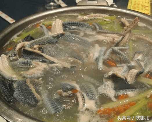 广东人真的是什么都敢吃，北方人吓得都不敢上桌了！ 第3张