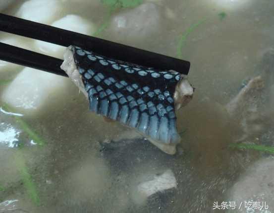 广东人真的是什么都敢吃，北方人吓得都不敢上桌了！ 第7张