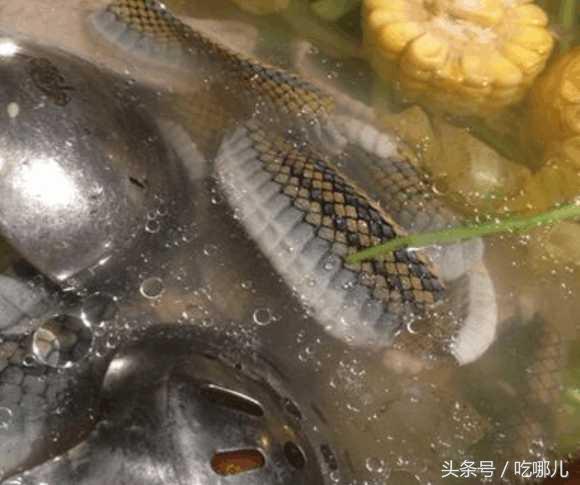 广东人真的是什么都敢吃，北方人吓得都不敢上桌了！ 第9张