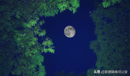 写夏天的诗句有哪些（夏天的诗句大全集） 第3张