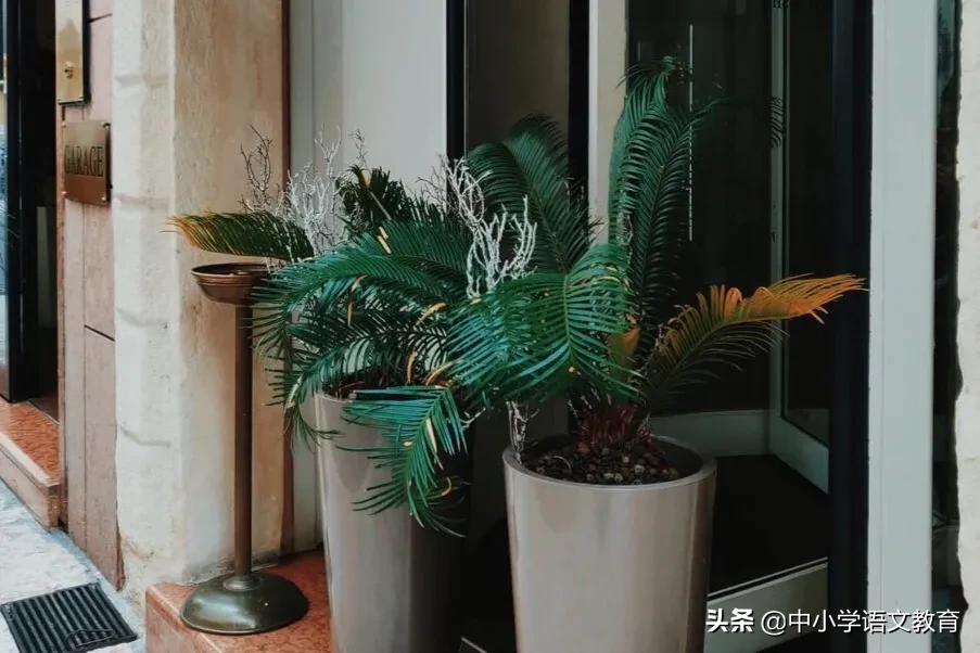 文言文童趣翻译及原文（童趣的译文及翻译） 第1张