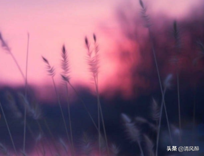 020年跨年表白句子（新年最感动的告白）"
