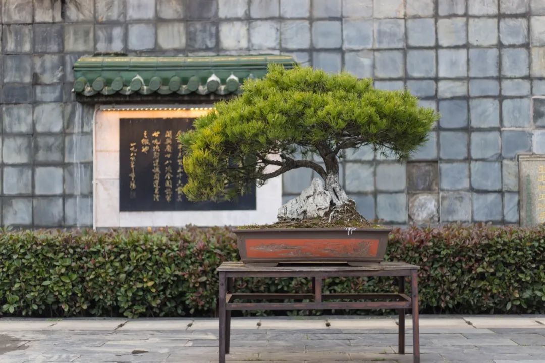 滕王阁序名句赏析（名家赏析滕王阁序） 第3张