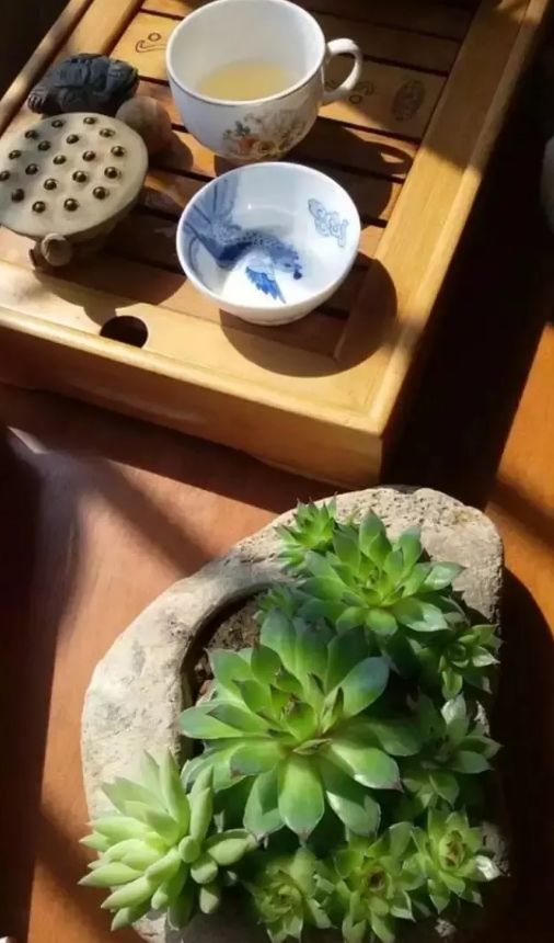 有关茶的诗词赏析（最经典的一首茶诗） 第45张