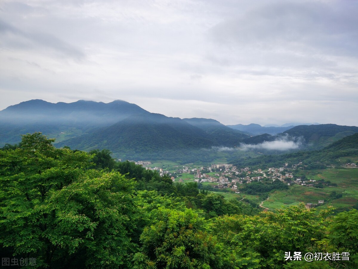 形容夏的诗句有哪些（赞美盛夏的诗词） 第5张