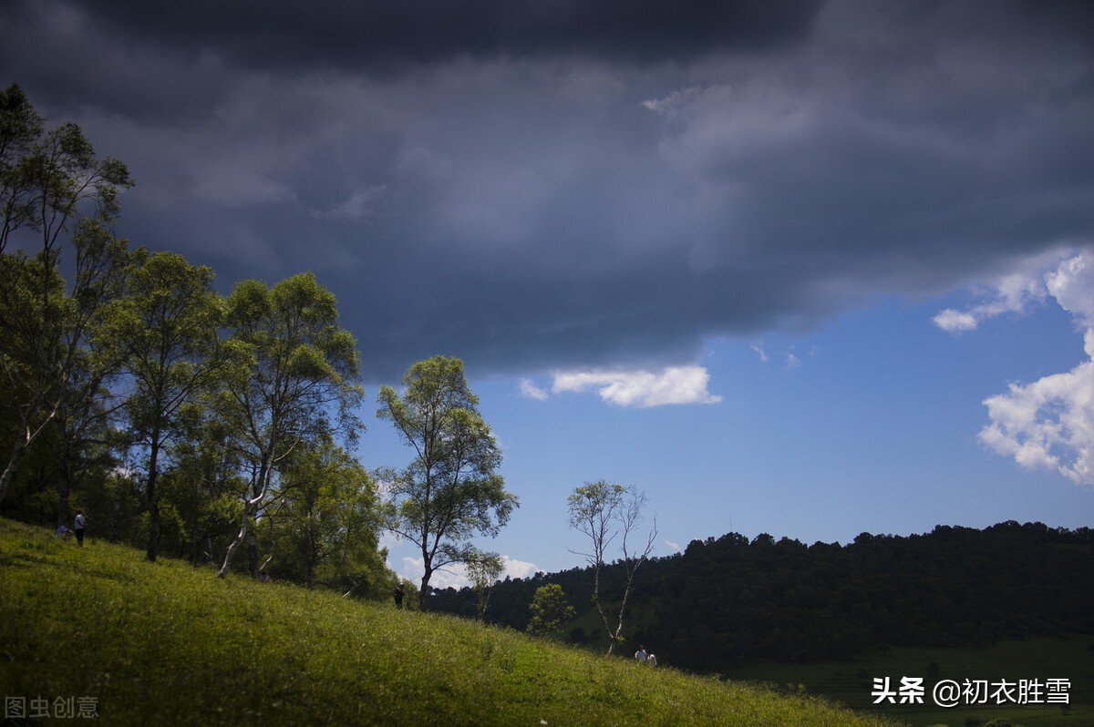 形容夏的诗句有哪些（赞美盛夏的诗词） 第11张