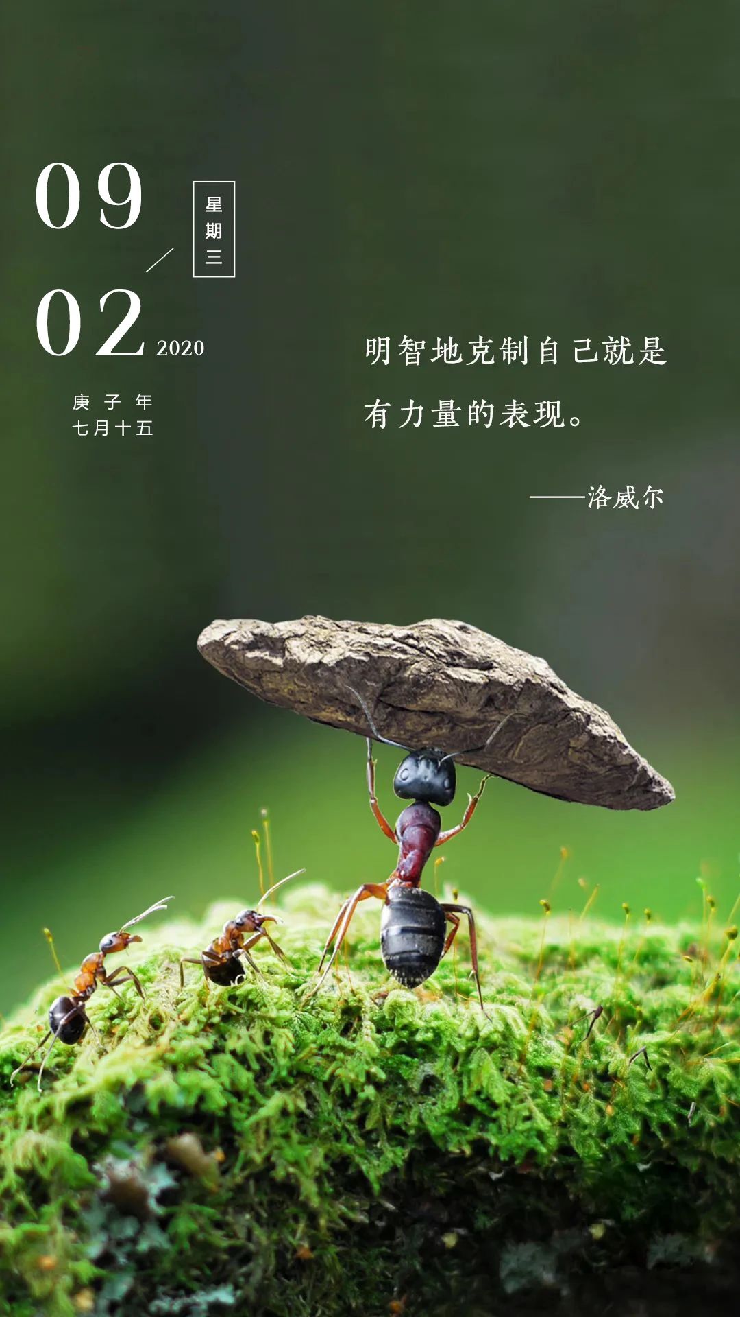 九月祝福语录是什么（正能量祝福语欣赏） 第13张