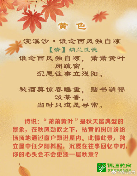 形容金秋的诗句唯美（秋天唯美诗句景色句子） 第5张