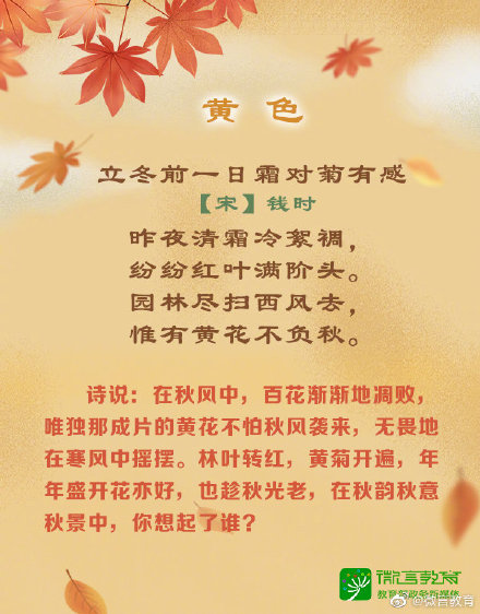 形容金秋的诗句唯美（秋天唯美诗句景色句子） 第7张