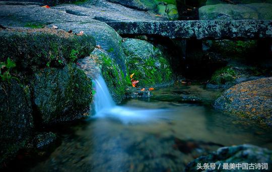 柳宗元小石潭记写作背景（小石潭记原文及翻译注解） 第1张