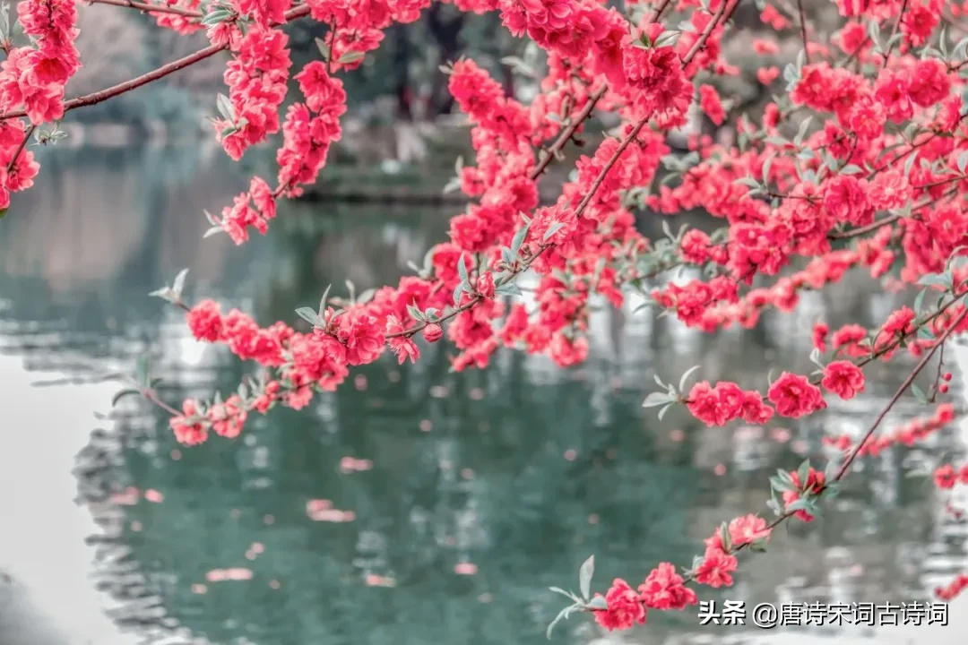 春分古诗词赏析（关于春分的经典诗句） 第15张