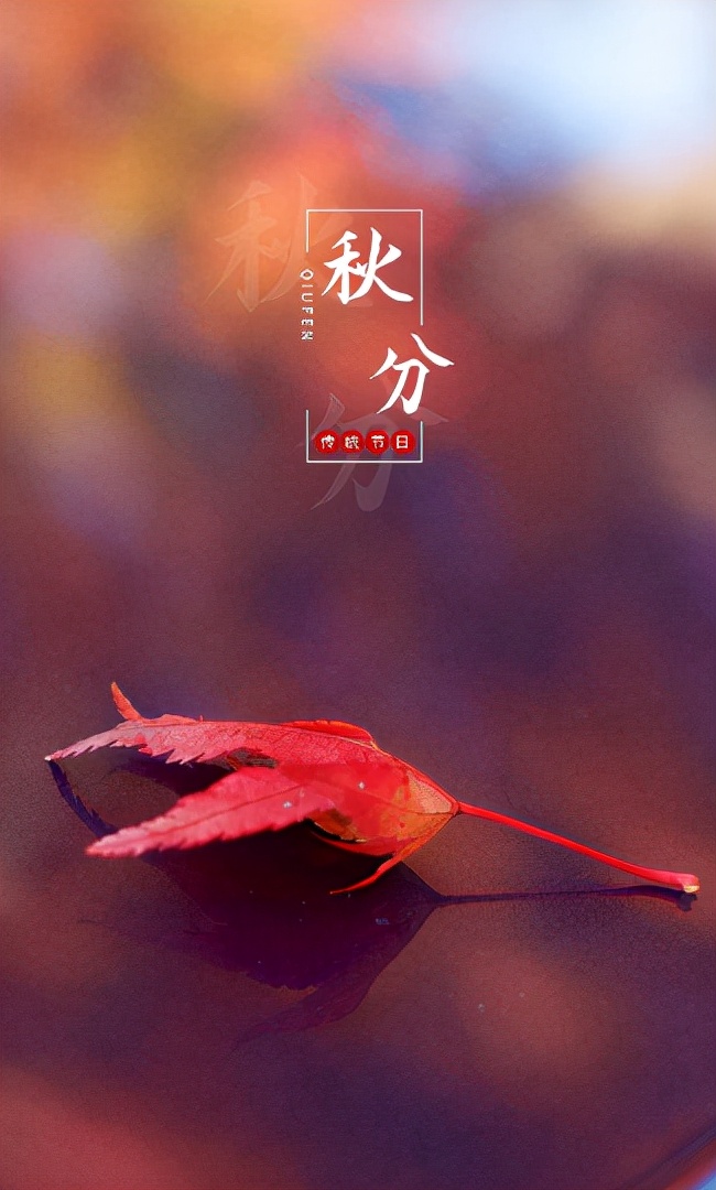 形容金秋的诗句有哪些（描写金秋的诗句古诗大全） 第15张