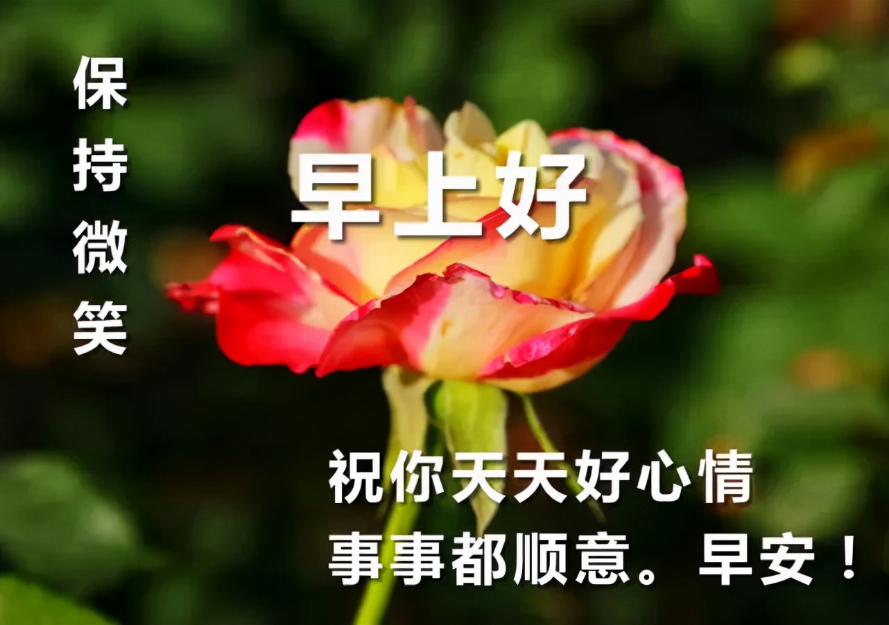 拜早年祝福语（春节最好的祝福语） 第1张