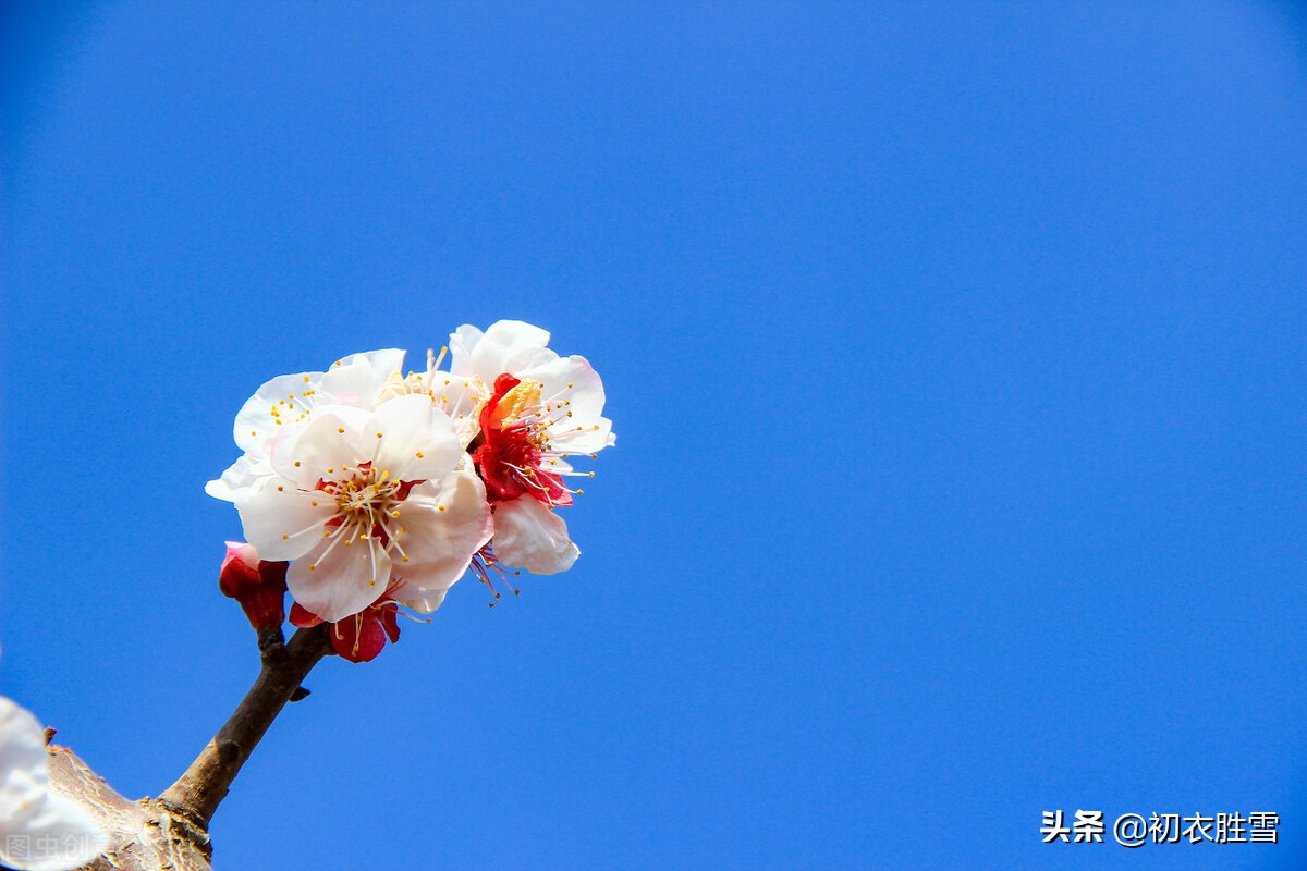 关于十月的诗句有哪些（赞美金秋十月的诗句散文） 第13张