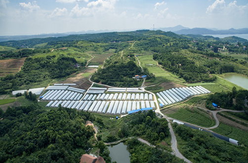 国家扶持的项目都有哪些(2021年国家重点扶持10大项目) 第1张